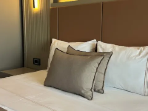 Dalaman Airport Lykia Thermal & Spa Hotel Hotels in Dalaman