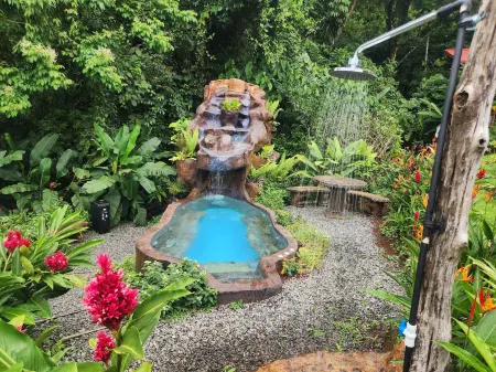 Cabañas Caeli Rainforest Glass Cabin la Perezosa la Fortuna Отели рядом с достопримечательностью «Monteverde Cloud Forest Biological Preserve»