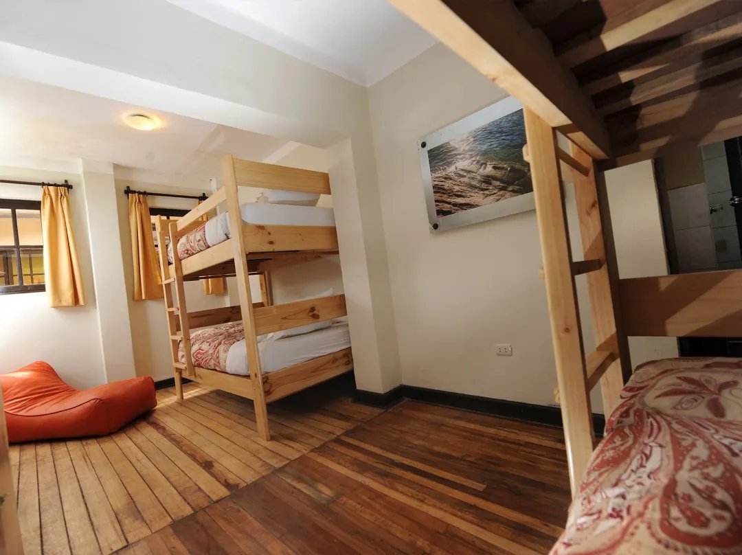 Bear Packer Hostel - Cusco