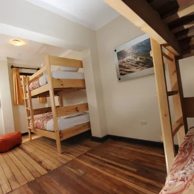 Bear Packer Hostel Các khách sạn gần Đài thiên văn Cusco