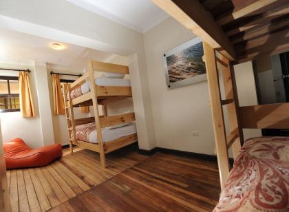 ベアパッカー - クスコ