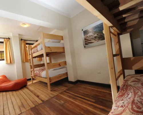 庫斯科熊背包客旅舍 庫斯科酒店