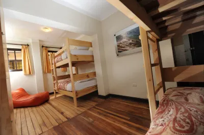Bear Packer Hostel Hotels in 