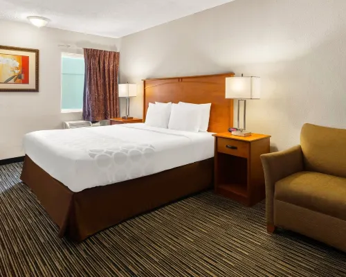 Park Inn by Radisson Hotels in Romulus