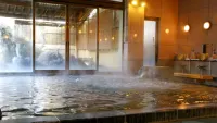Isawa View Hotel - spa