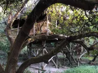Kitu Kiblu Hotels in Kilindoni
