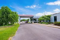 Hotel Oriskany Hotels in Rome