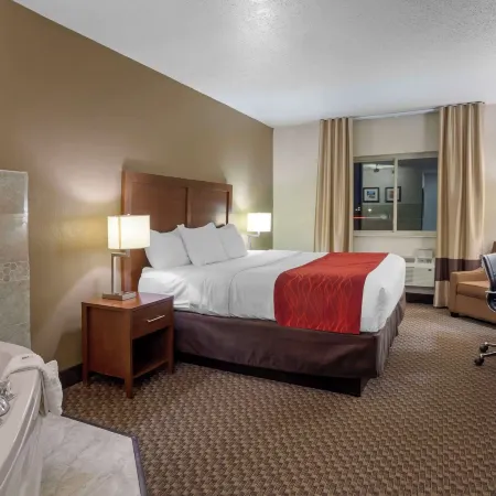 Comfort Inn Hobart-Merrillville I-65