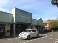 Evancourt Motel Malvern East Hotels near Monash University Caulfield Library