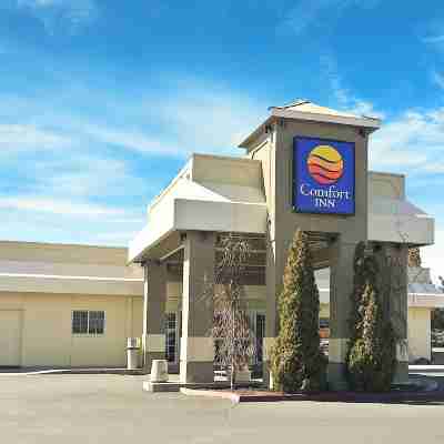 Comfort Inn & Suites Hotel Exterior