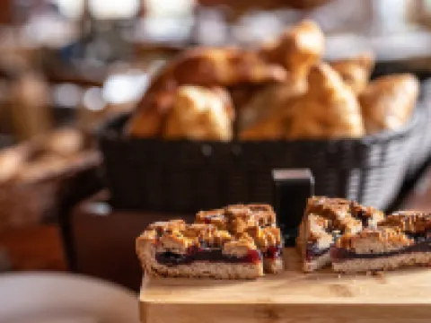 ガイア ホテル バーゼルのホテル