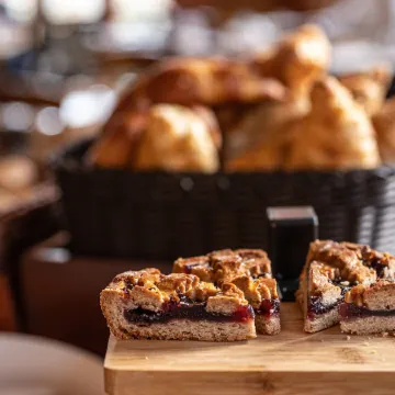 Gaia Hotel Basel - the Sustainable 4 Star Hotel