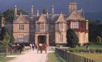 Ardree House B&B