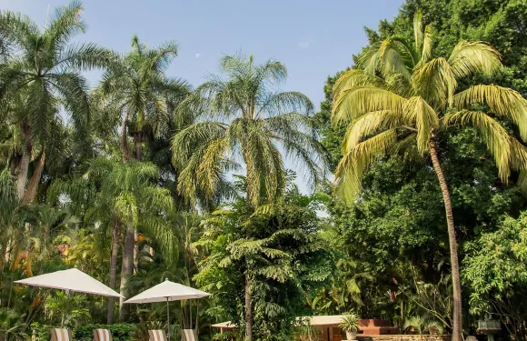 帕爾馬斯聖加百列莊園酒店