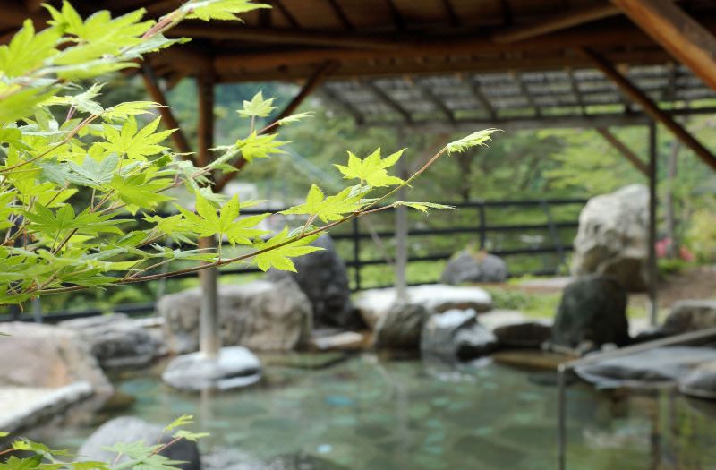 Hotel Sunshine Kinugawa photo 2