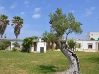 Masseria Fragnale Hotels in Fasano