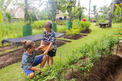 庭 ヴァイスロイバリの写真