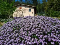 A'Loro B&B