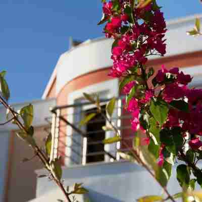 Heliotrope Hotels Hotel Exterior