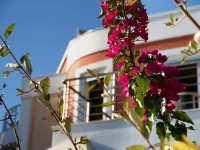 Heliotrope Hotels Hotels in Lesbos