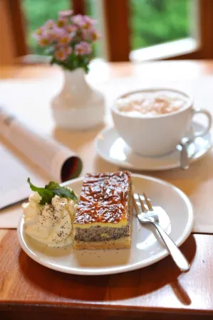 Biohotel Stiftsgut Wilhelmsglücksbrunn Отели в г. Эбенсхаузен