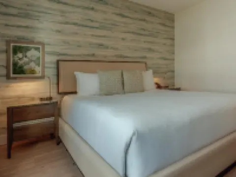 Iberostar Waves Miami Beach Hotels in Miami Beach