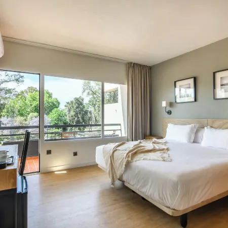 Hotel Don Diego by H