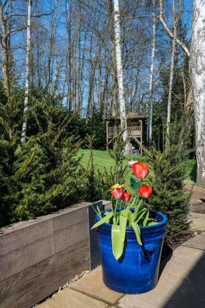 Aylesford-house-sleeps 2 & 1 Infant-parking-garden