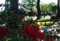 El Mirador Hotel & Spa - bar