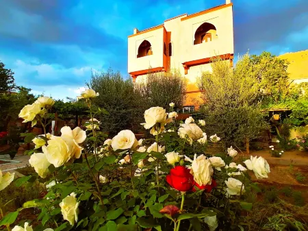 Riad Tazawa Отели в г. Ait Sedrate Sahl Gharbia