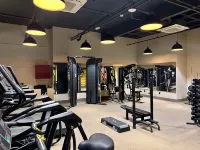 希爾頓逸林飯店卡拉科爾卡內拉 卡內拉住宿飯店