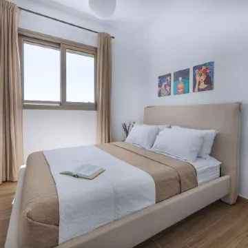 301 Mulberry Court- Contemporary with Large Terrace