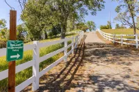 Bluejay Bungalow – Cozy Pet-Friendly Cottage Near Yosemite & Bass Lake