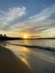 Lovely 1 bedroom apt in quiet residence. Pool, 3 min from the beach, strong wifi