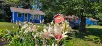 Lyons Cottages - Cottage #6, 3BR Walk to the Beaches of Stanhope National Park!