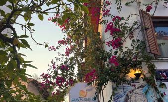Pangea Sığacık Suite Hotel & Bistro