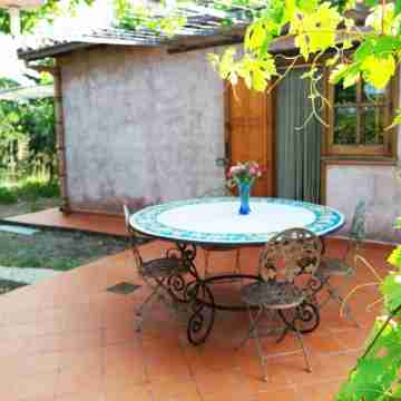 Cosy cottage surrounded by nature, 100 meters from the sandy beach Hotel Exterior