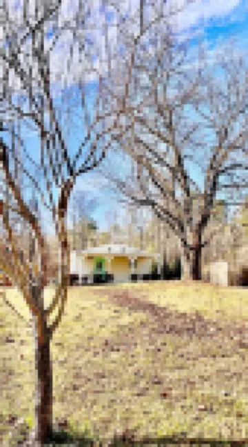 Wine and Wedding Mountain Getaway at Arborview - 5 minutes from Downtown