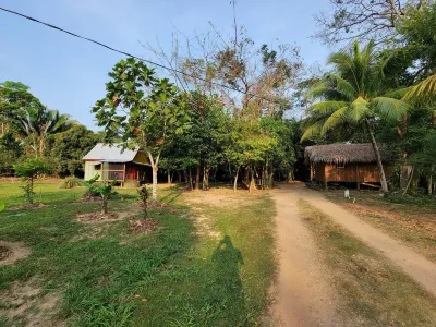 Welcoming 1-bedroom rustic cottage in Hopkins Village  호텔