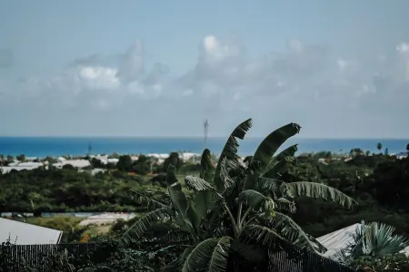 Villa Azuréa Piscine et Plages Отели в г. Сент-Ан