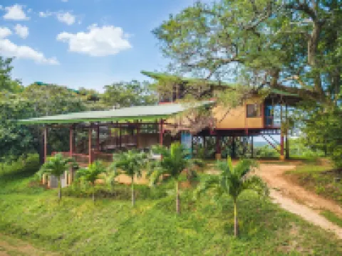 Unique 3BR Costa Rica Jungle Tree House near Playa Negra