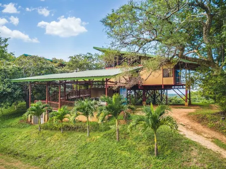 Unique 3BR Costa Rica Jungle Tree House near Playa Negra