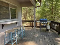 Bright and Cozy Cabin in Blue Lake Springs