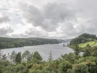 Little Beeches Hotels in Oswestry