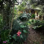 Zuna - Villas