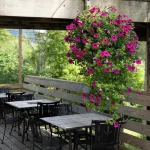 Catskill Seasons Inn