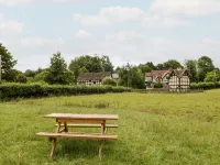 Holly Bush Hotels in Kingsland