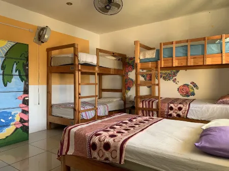 Brisamar Guesthouse Отели рядом с достопримечательностью «Playa Carrizalillo»