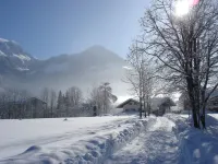 Alpenhof Punzenlehen - homestay