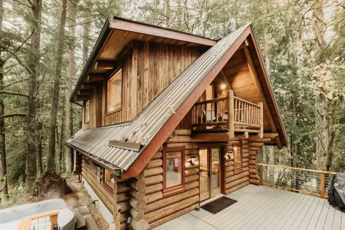 81SL - Hot Tub - WiFi - Pets Ok Cabin